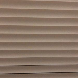 Meet your Posher, Saranya